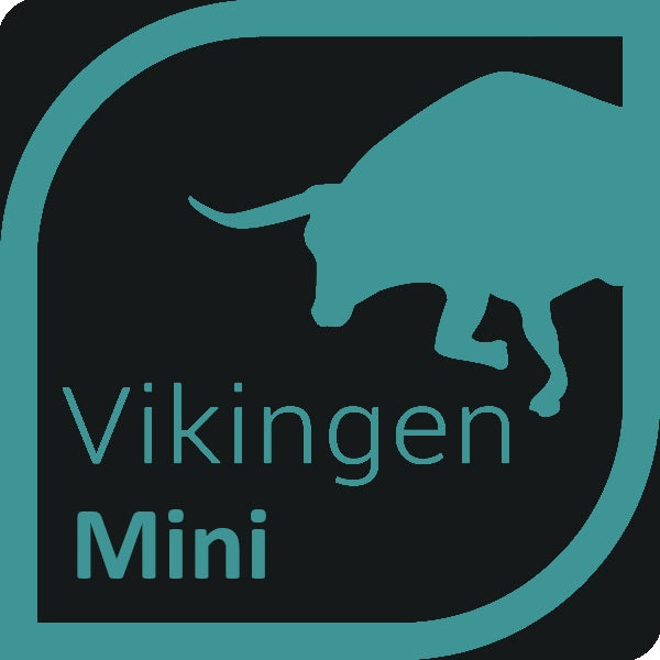 Vikingen Mini